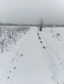 Земельный участок 7,5 Га, Белореченский р-н, Краснодарский край